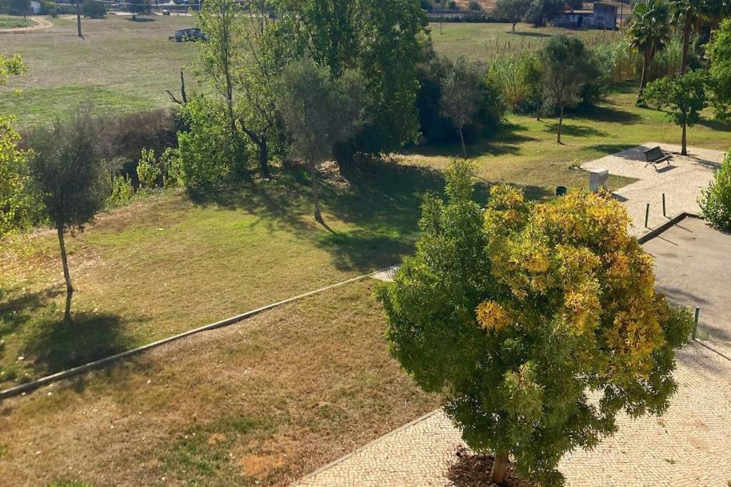 Vila Vivenda Espacosa E Luminosa Quelfes Exteriér fotografie